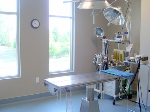 Surgery Room