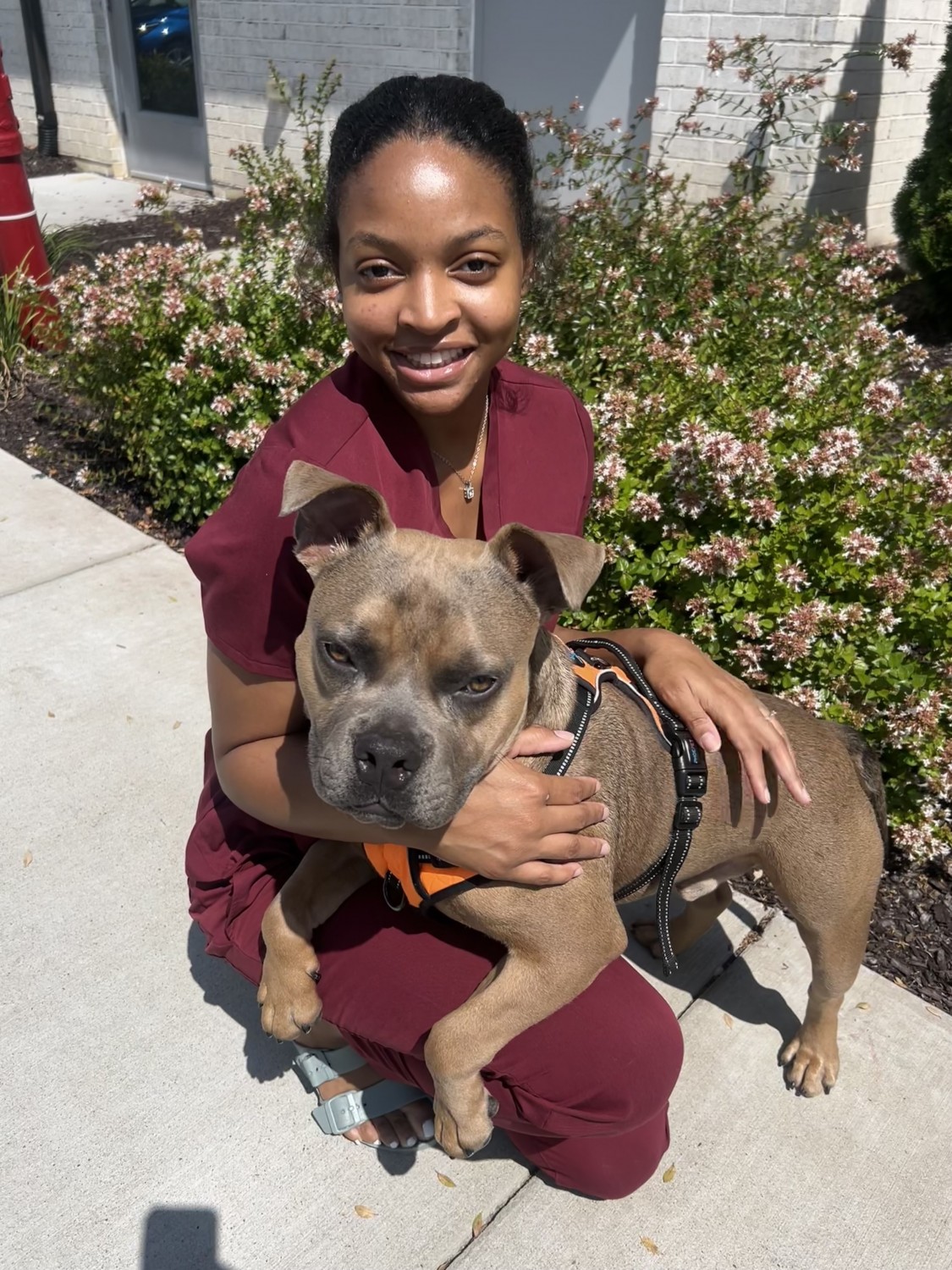 Kayla - Vet Assistant