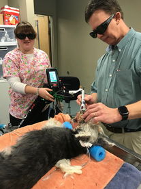 laser therapy