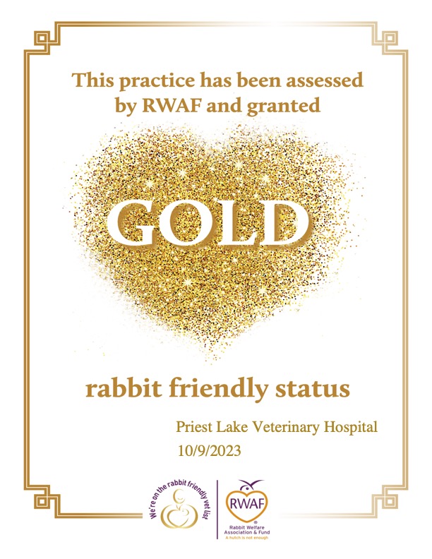 This practice has been assessed by RWAF and granted GOLD rabbit friendly status