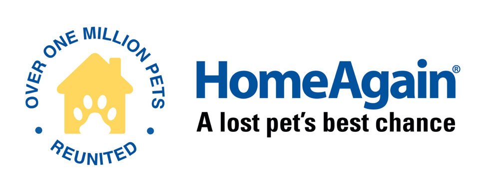 Home Again Logo