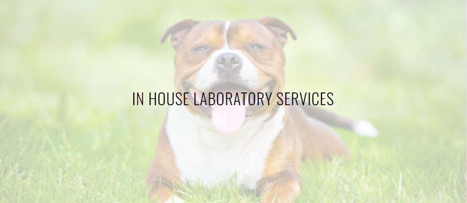 In House Laboratory Services
