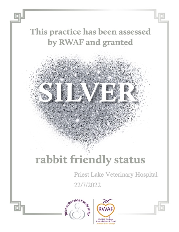 This practice has been assessed by RWAF and granted SILVER rabbit friendly status