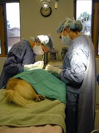 Surgery Surgery